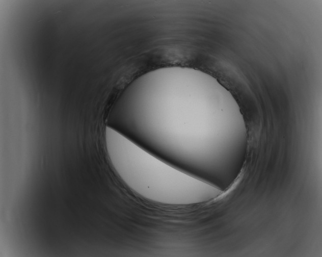 X0000095550182200712140943