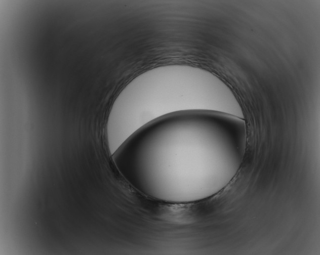 X0000095550184200712140943