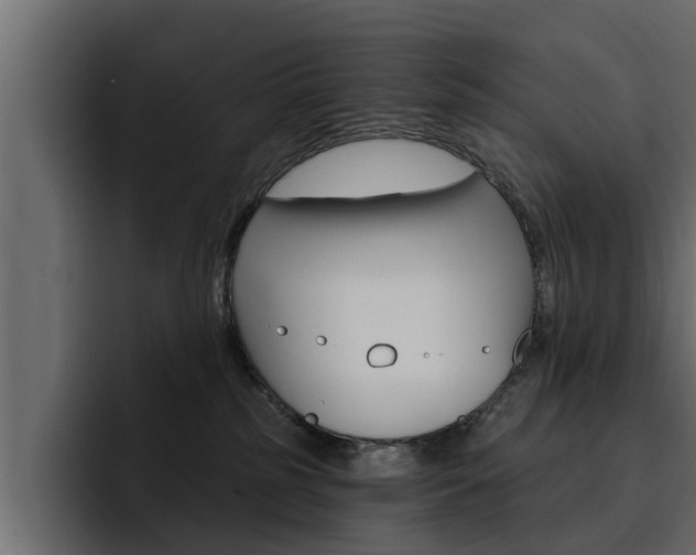 X0000095550185200712140943