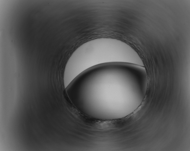 X0000095550186200712140943