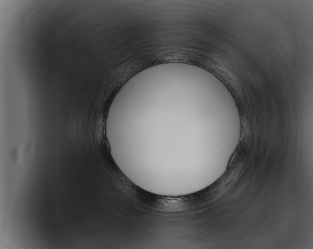 X0000095550189200712140943