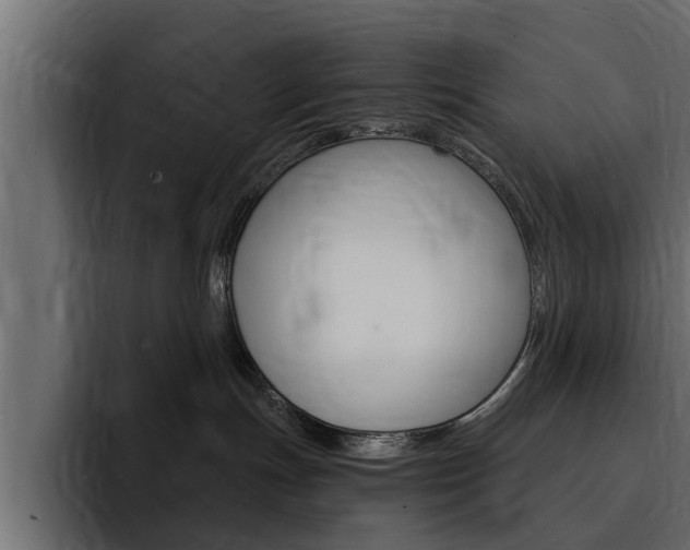 X0000095550191200712140943
