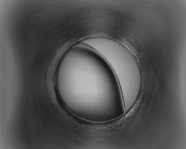 X0000095550193200712140942