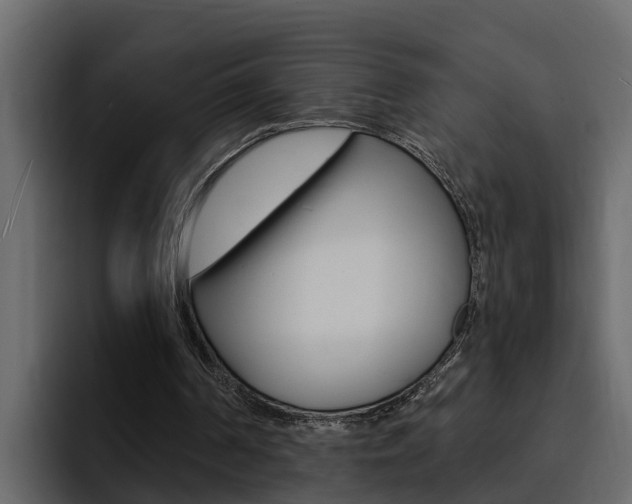 X0000095550194200712140942