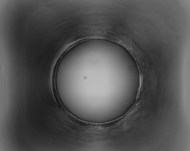 X0000095550195200712140942