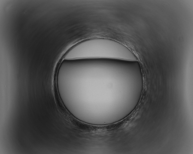 X0000095550196200712140942