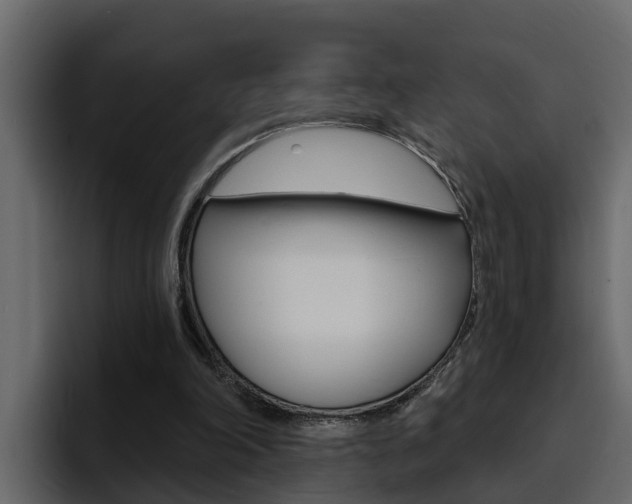 X0000095550198200712140942