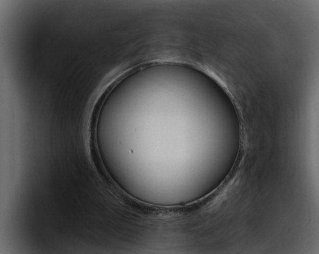 X0000095550199200712140942