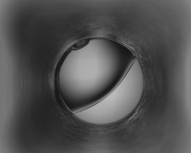 X0000095550200200712140942
