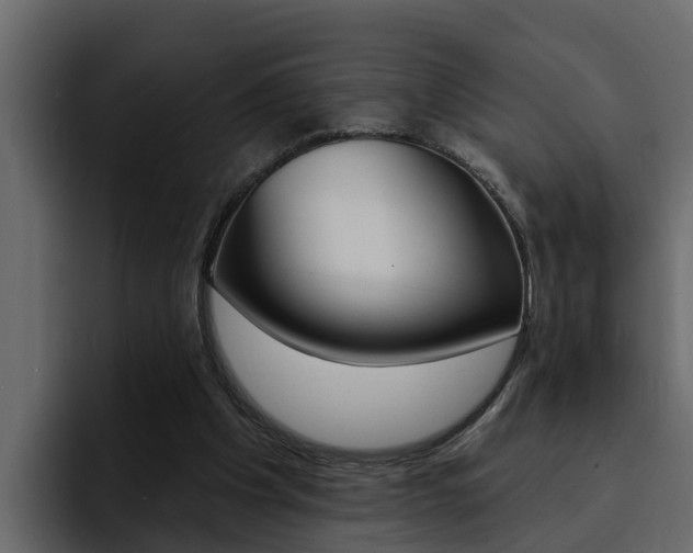 X0000095550201200712140942