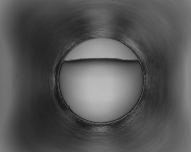 X0000095550202200712140942