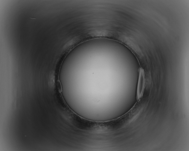 X0000095550207200712140942