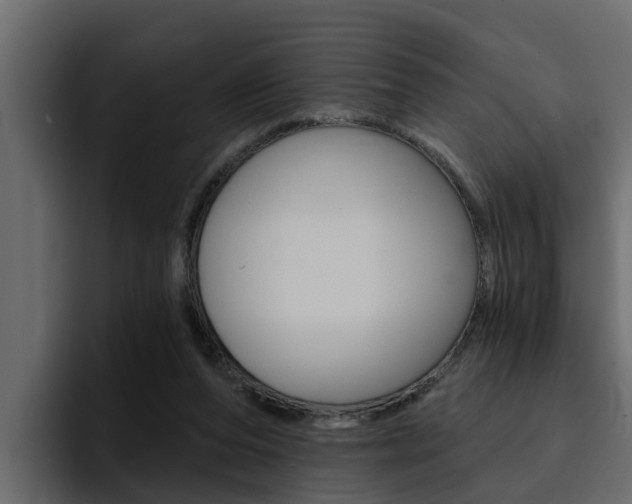 X0000095550208200712140942