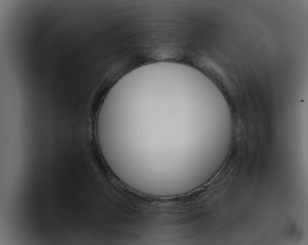 X0000095550210200712140942