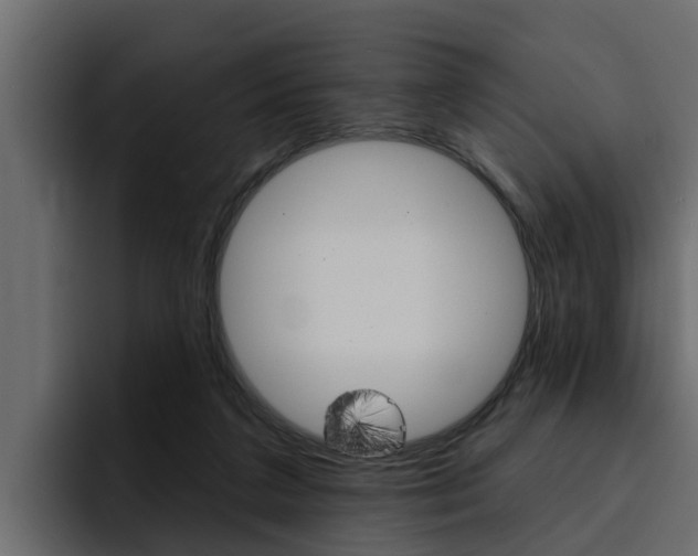 X0000095550211200712140942