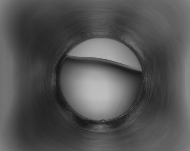 X0000095550212200712140942