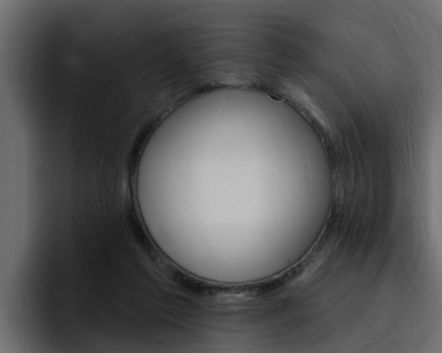 X0000095550213200712140942