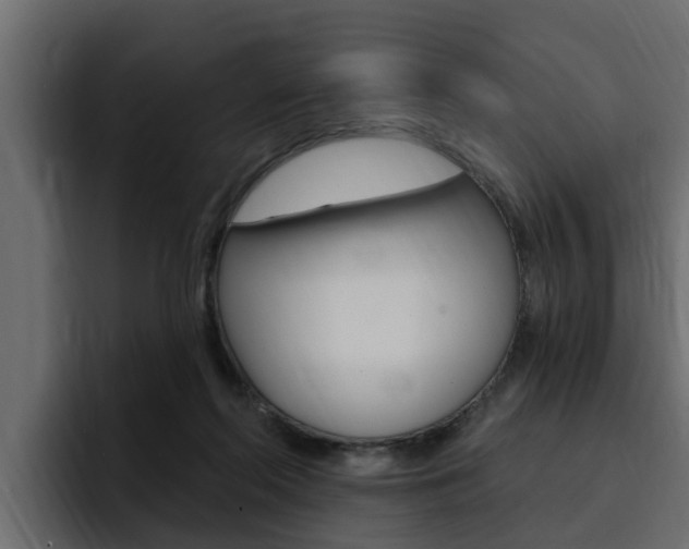 X0000095550214200712140942