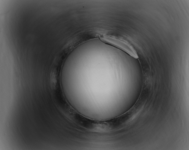 X0000095550215200712140942