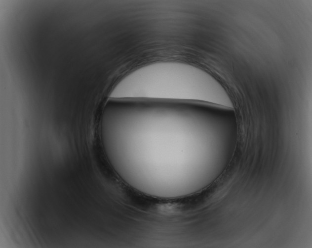 X0000095550216200712140942