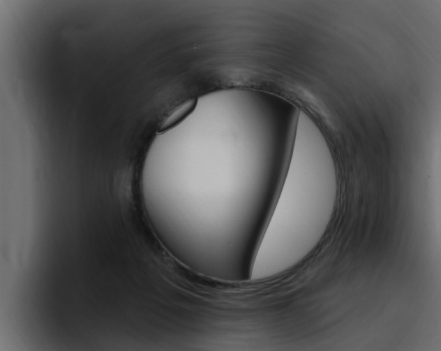 X0000095550217200712140942