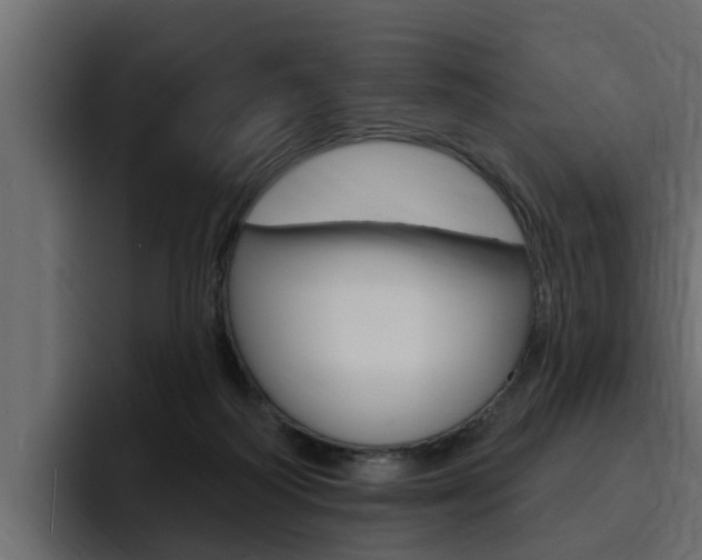 X0000095550218200712140942
