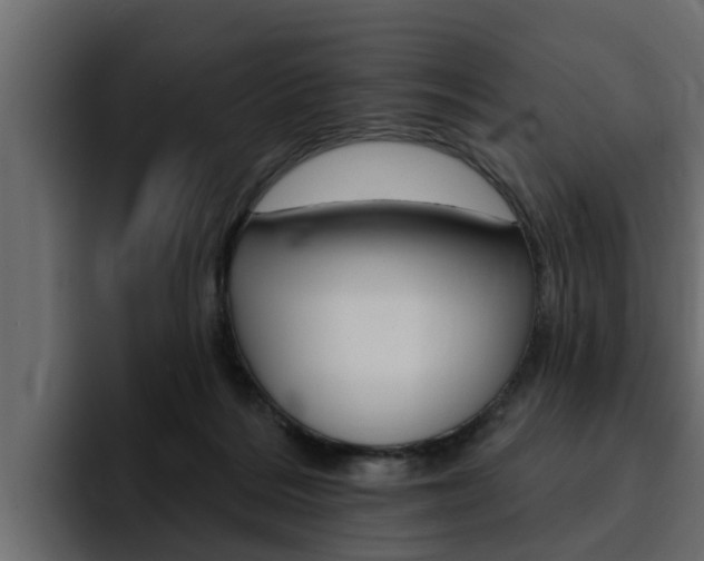 X0000095550220200712140942