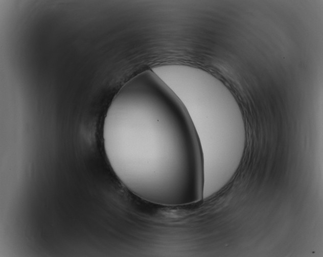 X0000095550221200712140942