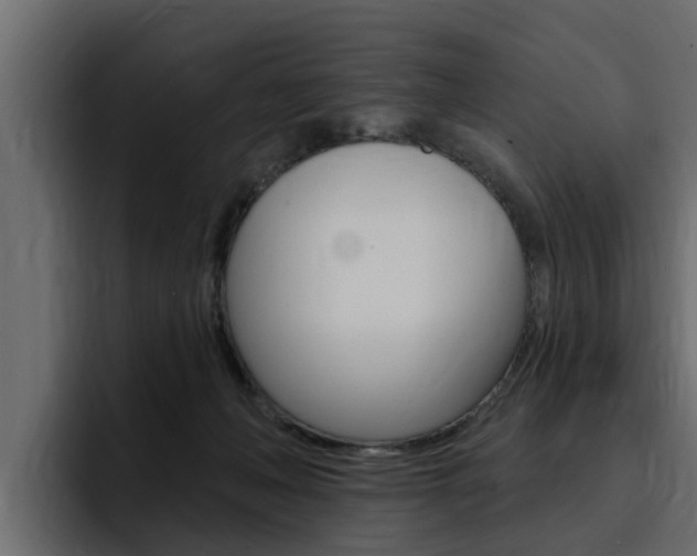 X0000095550222200712140942