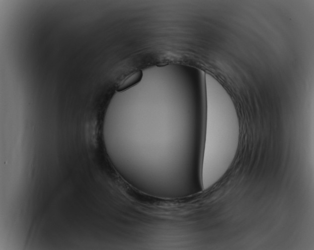 X0000095550223200712140942