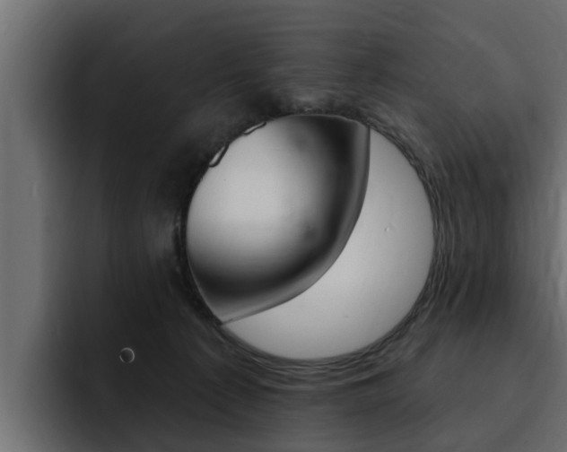 X0000095550225200712140942