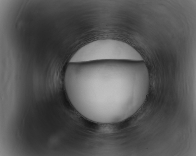 X0000095550226200712140942