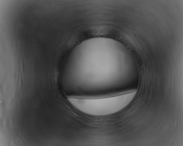 X0000095550227200712140942