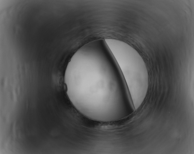 X0000095550228200712140942