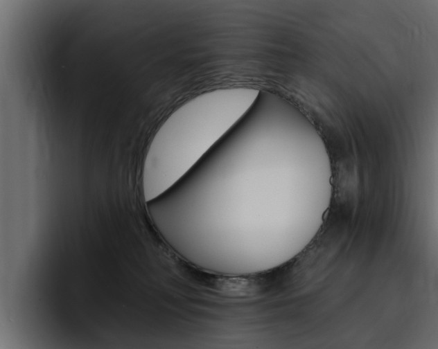 X0000095550230200712140942