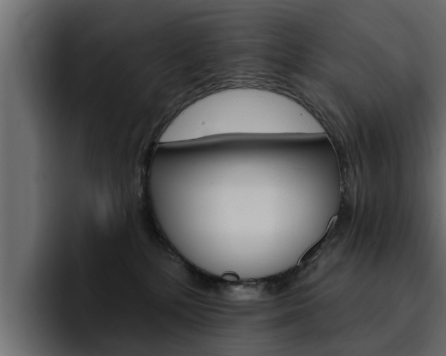 X0000095550232200712140942