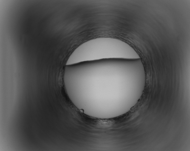 X0000095550234200712140942