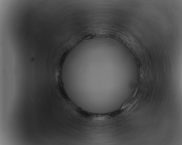 X0000095550235200712140942