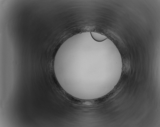 X0000095550236200712140941