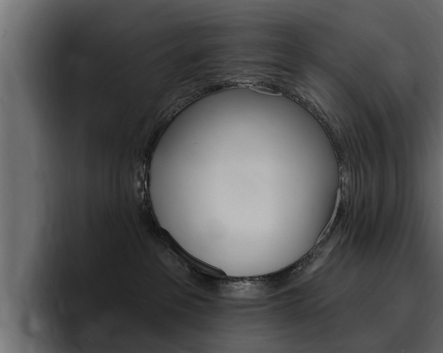 X0000095550237200712140941