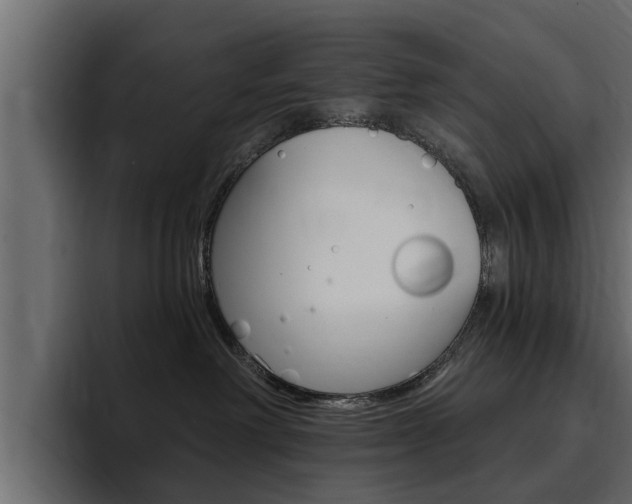 X0000095550238200712140941