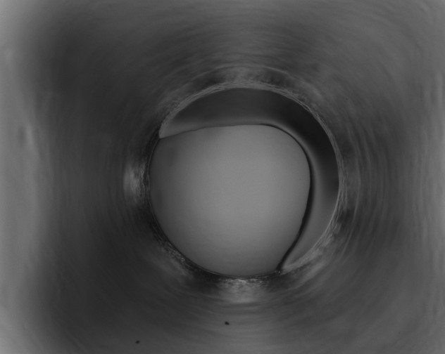 X0000095550239200712140941