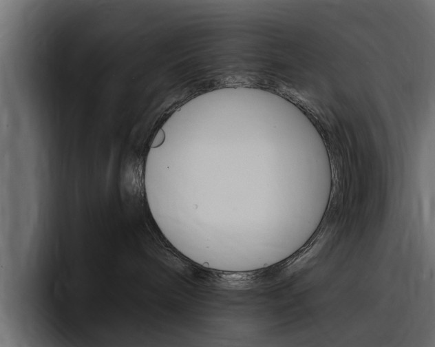 X0000095550240200712140941