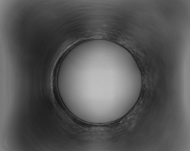 X0000095550242200712140941