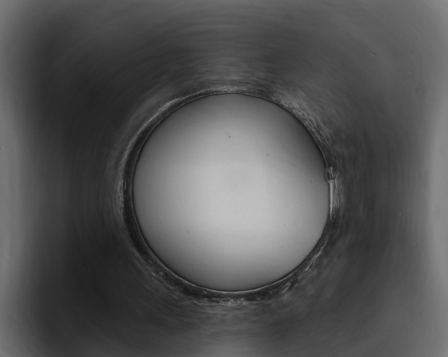 X0000095550243200712140941