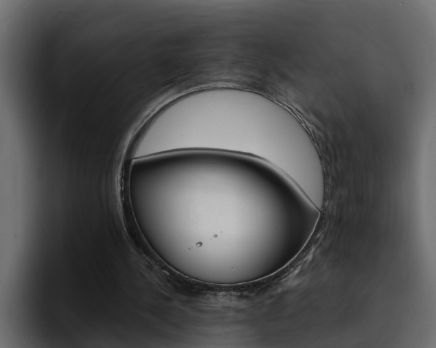 X0000095550244200712140941