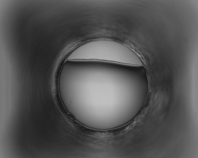 X0000095550245200712140941