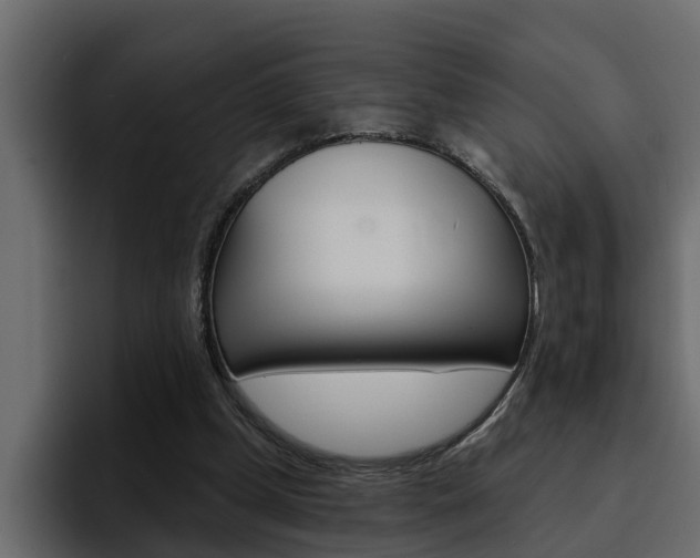 X0000095550249200712140941