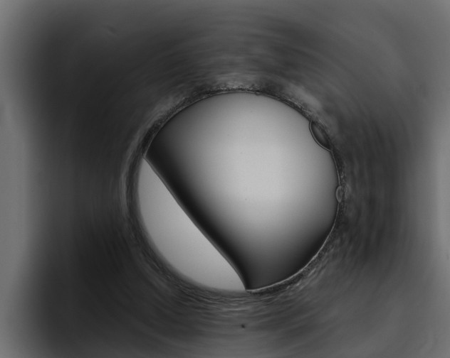 X0000095550250200712140941