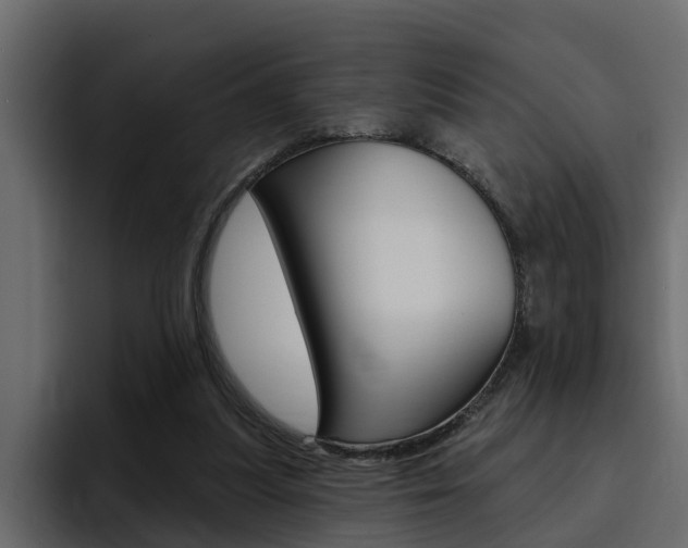 X0000095550251200712140941